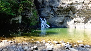 Mine Kill State Park is named for Mine Kill Creek, which runs through a narrow gorge in the park and features a 80-foot waterfall.