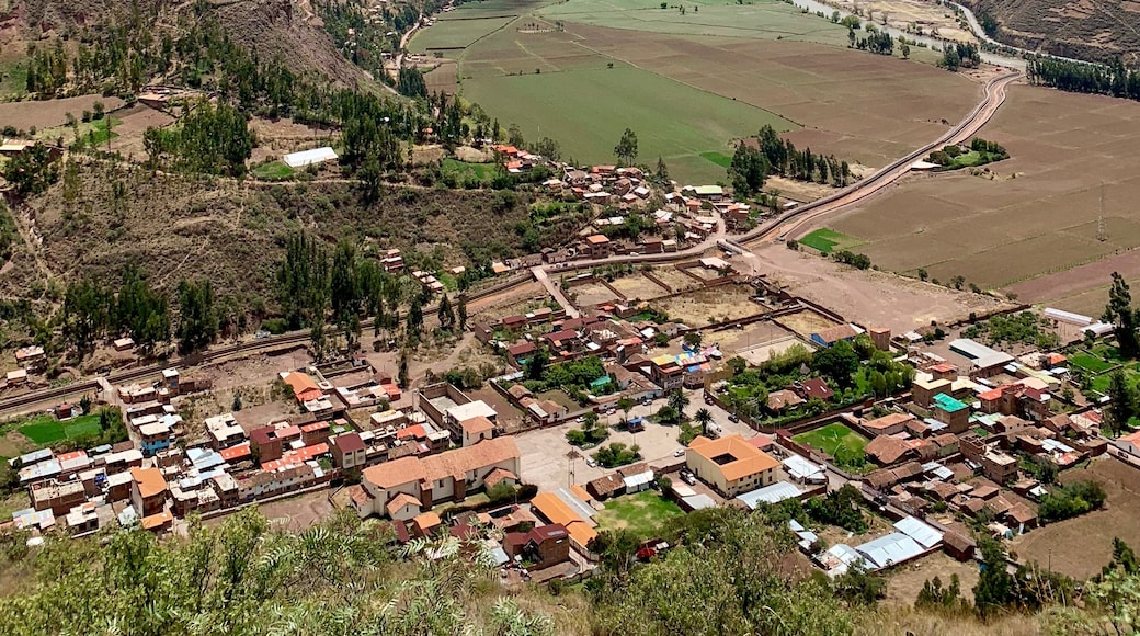 Taray, Cusco (bölge), Peru
