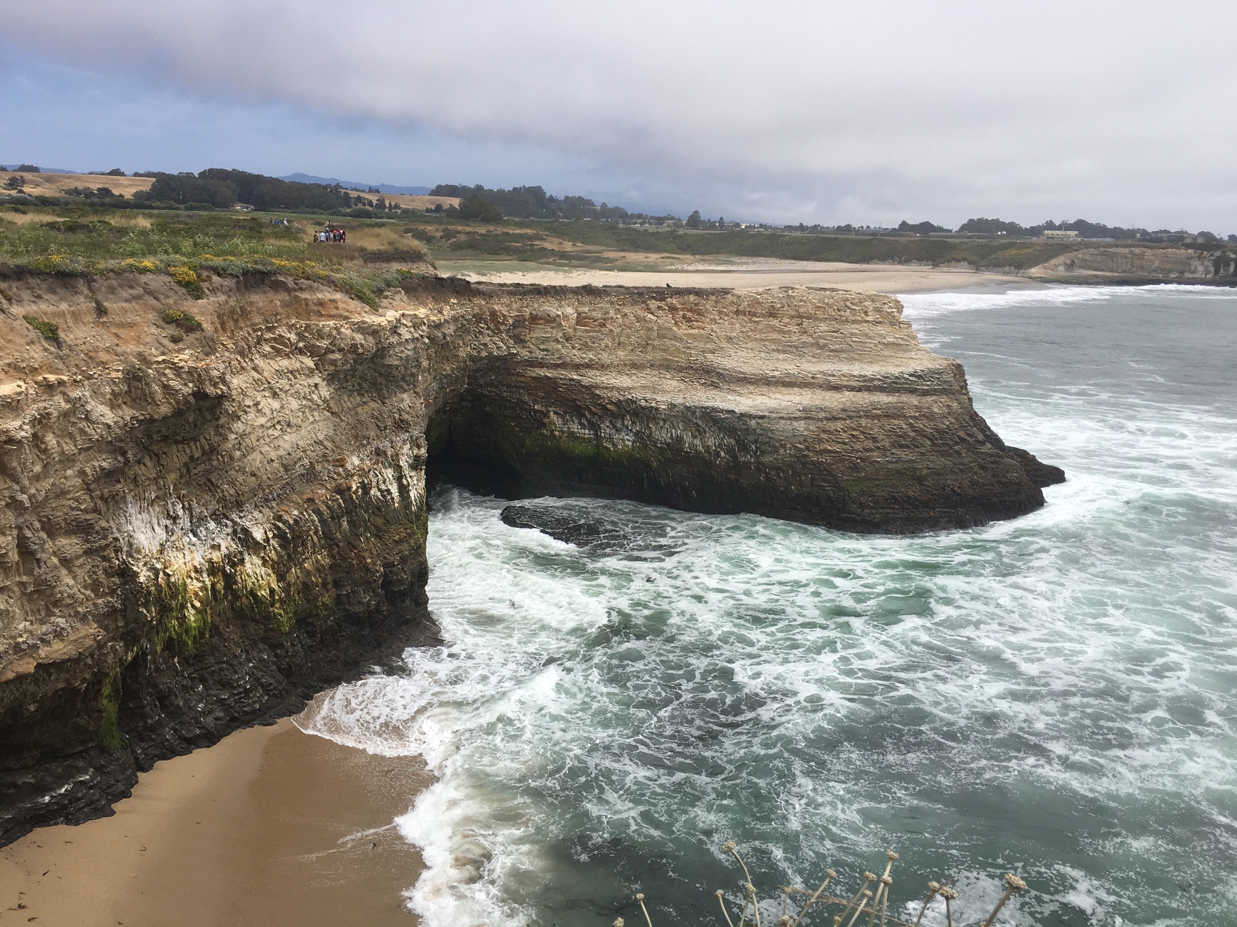 Wilder Ranch State Park in Santa Cruz Tours and Activities