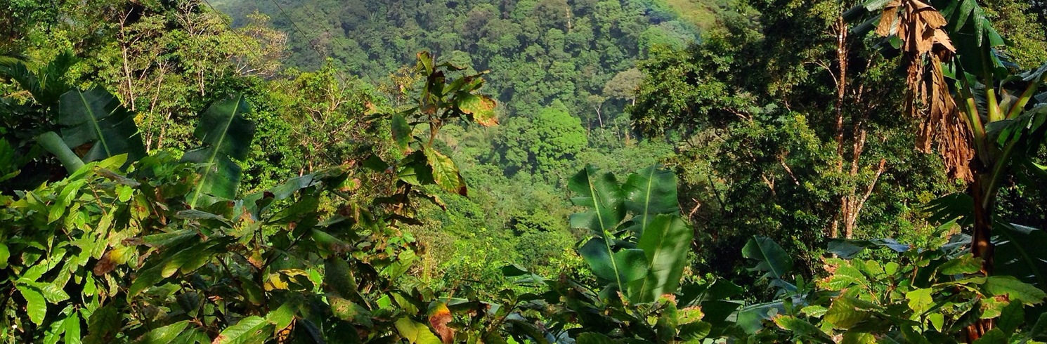 Tunapuna-Piarco, Trinidadas ir Tobagas