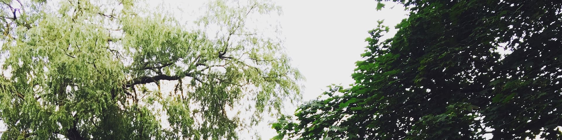 I love this view. Makes me forget it’s just Kiel!