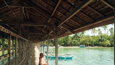 This long dock leads to the resort and passes over mangroves on the island. It's perfect to just sit and enjoy the sunshine. #BeachTips

More photos, a guide, and tips for this destination here:
http://artbeatsmath.com/surigao-siargao