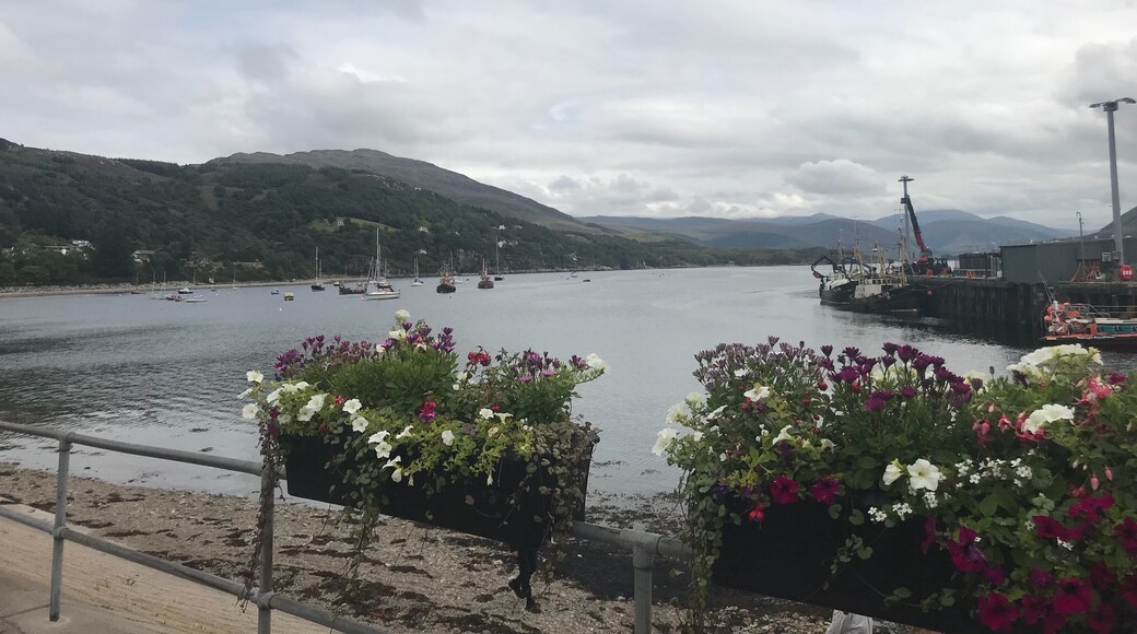 The Best Hotels Closest to Ullapool Harbour in Ullapool - 2021 Updated