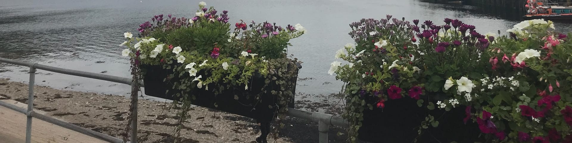 Took a drive up to Ullapool, seeing some amazing scenery on the way. This is taken from the harbour at Ullapool.