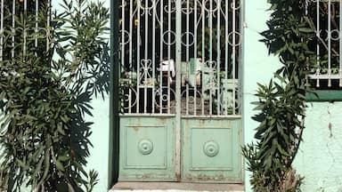 Typical house entrance that leads to a garden full of lemon & orange trees. 