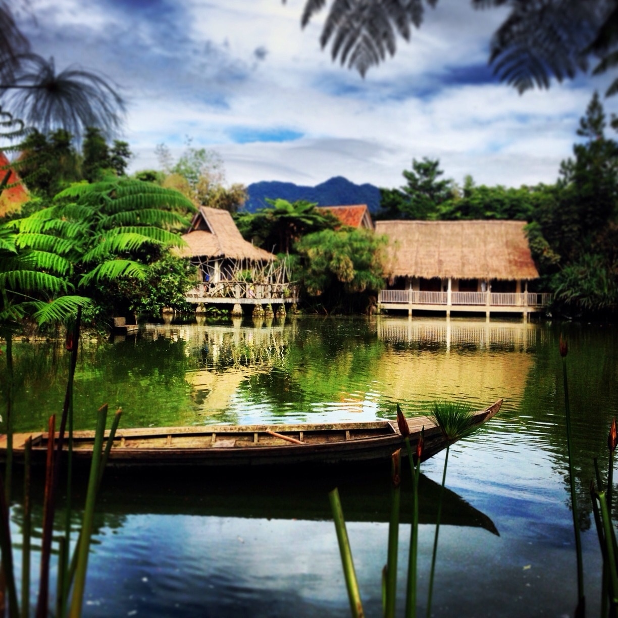 Photo by Sri Agustin