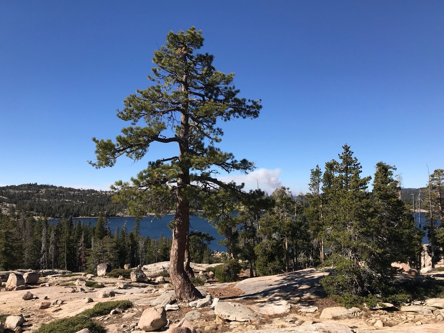 One of our favorite lakes for kayaking and hiking. In the distance you can see a forest fire. California has so many severe fires affecting so many people I love. Please keep good thoughts/prayers for those who have lost so much.