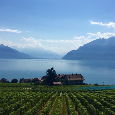 Amazing views of Lake Geneva hiking through UNESCO heritage vineyards
#EndlessSummer #Rivaz