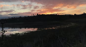 Batiquitos Lagoon Trail is an easy 3 mile roundtrip trail along the lagoon that’s popular among the locals in Carlsbad. There are plenty of benches to sit and admire the wetland. #LikeALocal