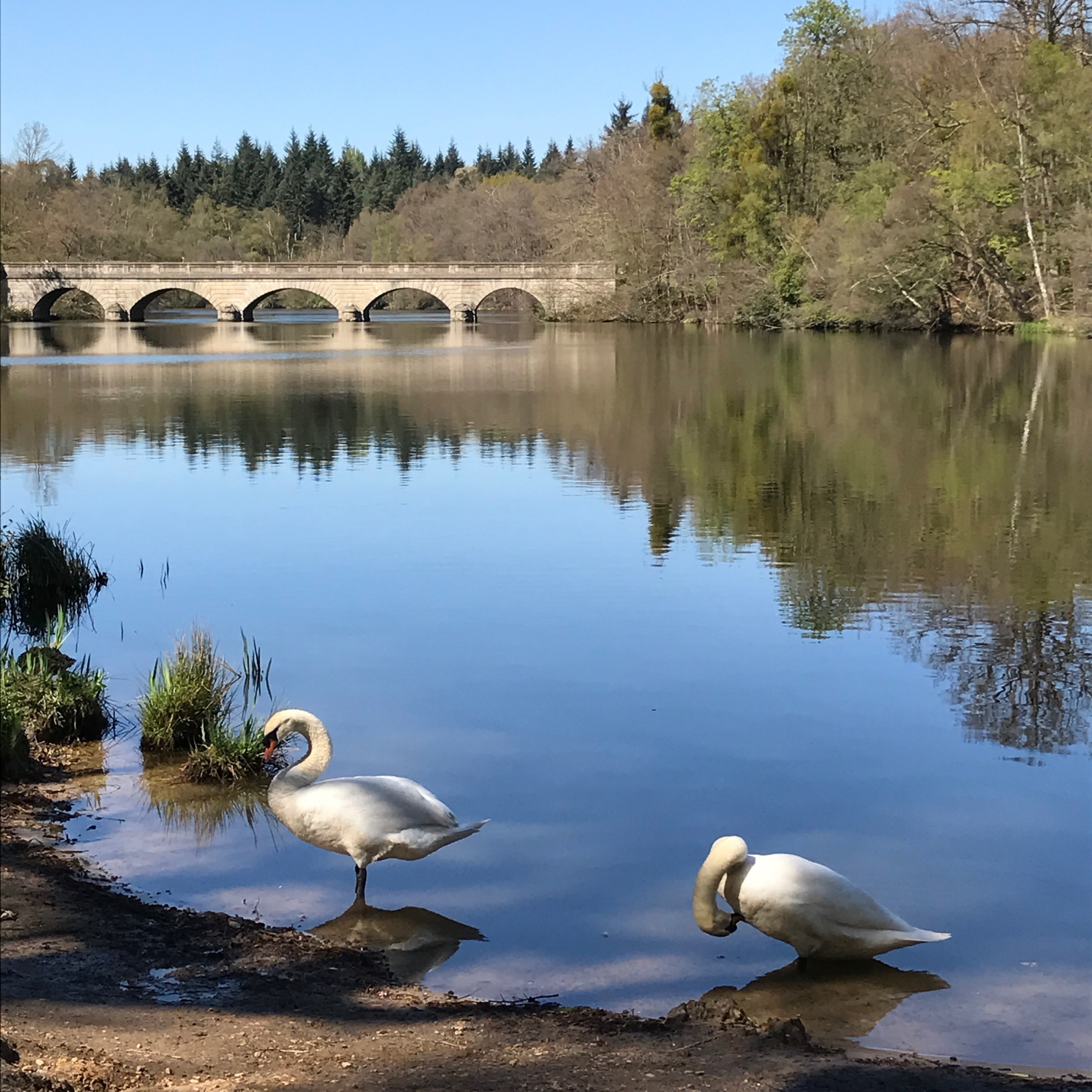 Visit Virginia Water 2021 Travel Guide for Virginia Water, England