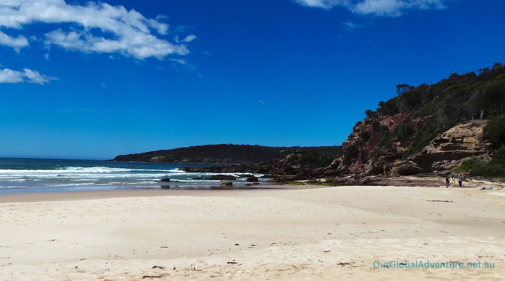 Jiguma Nature Area, Pambula Beach, New South Wales, Australia