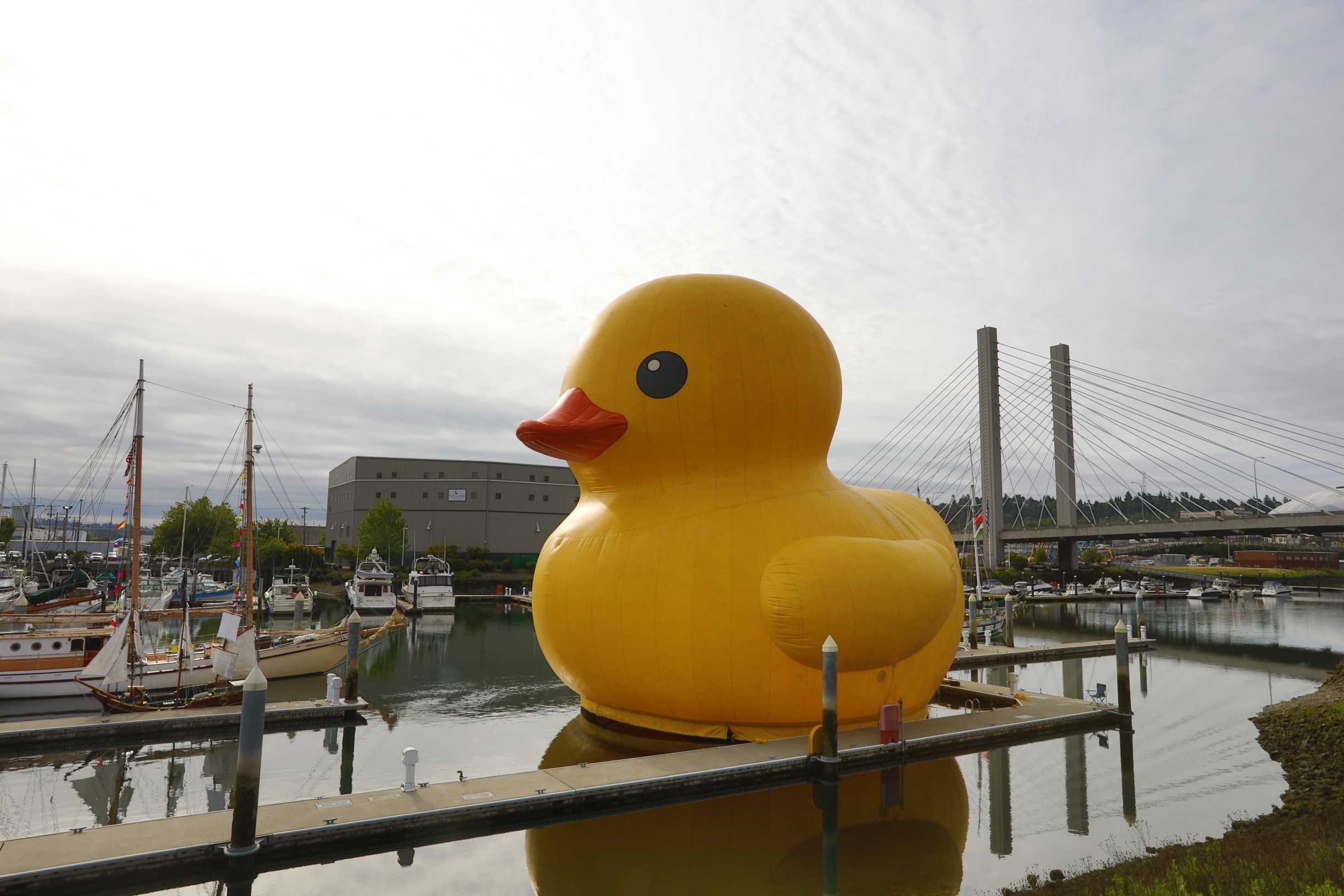 Giant rubber duckie for boat days