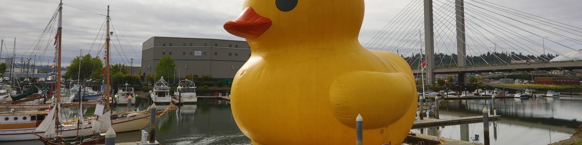 Giant rubber duckie for boat days