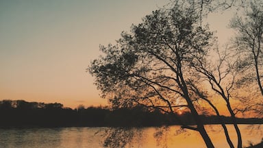 Sunset by the River 

#river #sunset #goldenhour