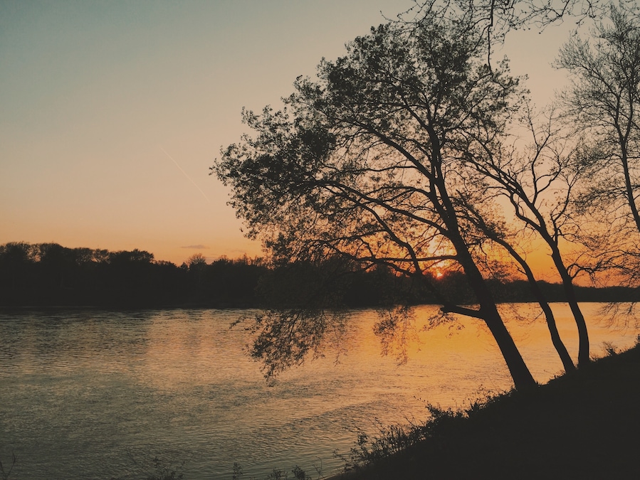 Sunset by the River
#river #sunset #goldenhour