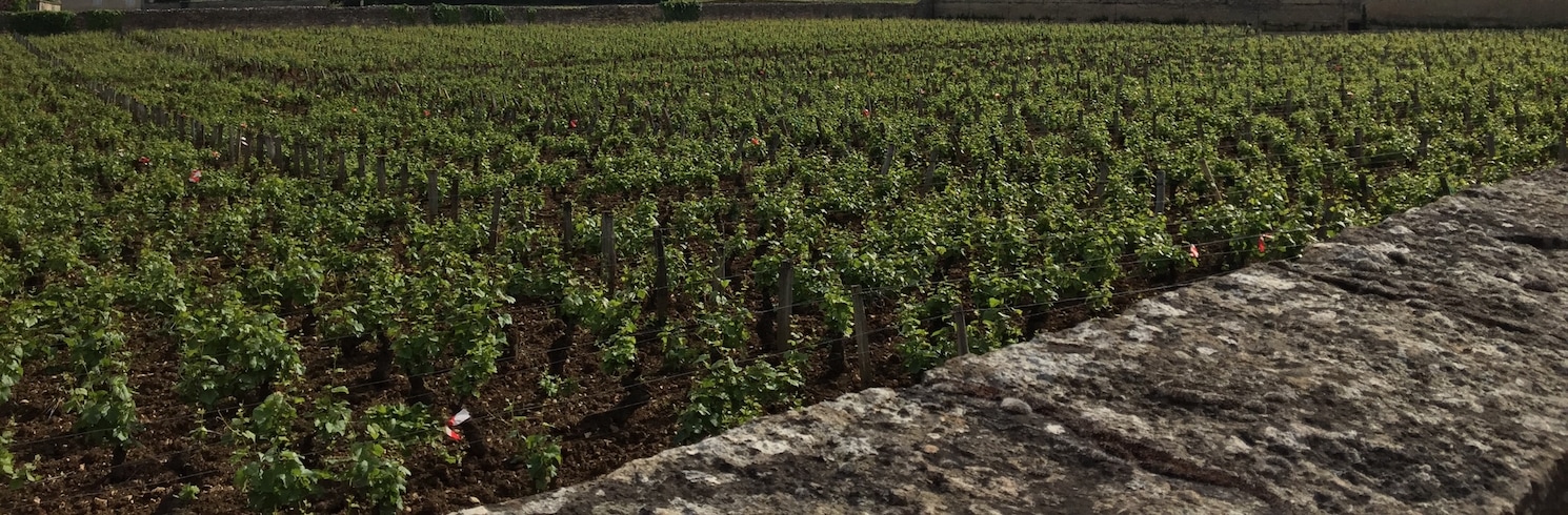 Cotes de Nuits (Weinbaugebiet), Frankreich