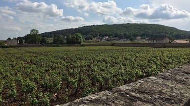 #burgundy #gevreychambertin #france #winecountry 