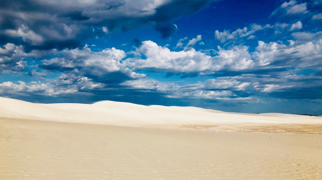 Lancelin Sand Dunes, Lancelin, Western Australia, Australia