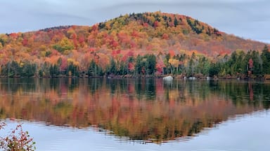 I wished I could paddle and get closer to the colors

#autumn #fallfoliage #nature #leafpeeping