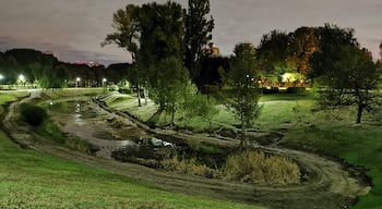 Night foto in Otrada park