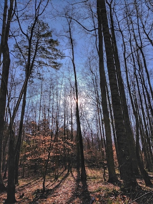 This is the sunrise I was blessed with while hunting turkeys.