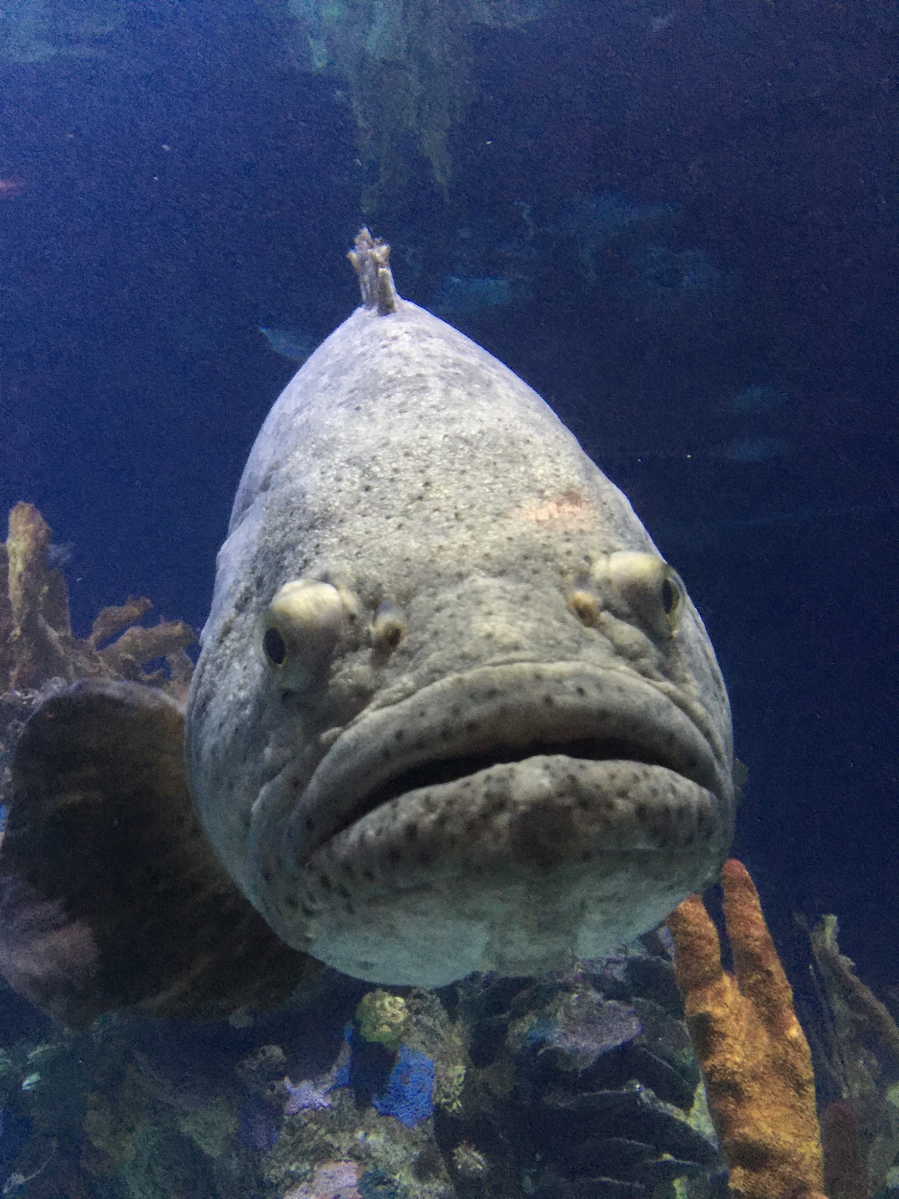 Apple Valley, MN Vacation Rentals house rentals & more Vrbo