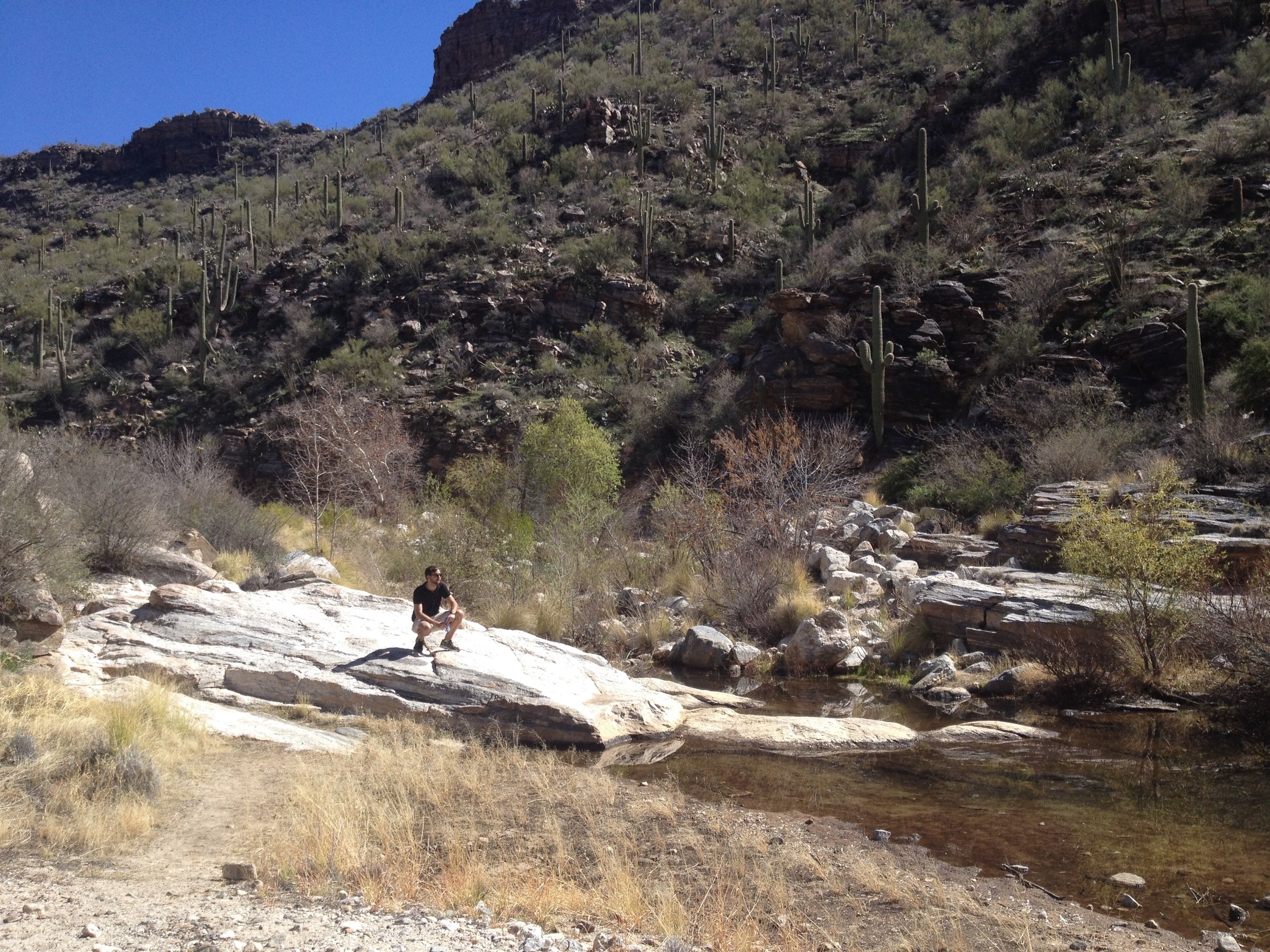 Expert local à Maricopa trouvez des choses à faire à Maricopa