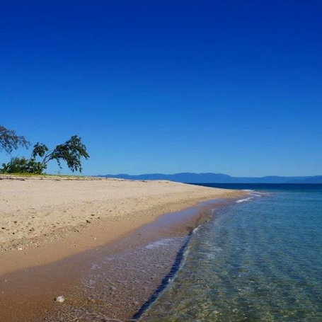 Bedarra Island is home to a luxury resort where you can stay for $2,000 a night....OR you could pay $50 for a half day trip with Fozyy's and snorkel from the beach with dugongs and turtles, getting to pretend you're an A-lister for the day! #waterlust
http://www.missionbeachwatertaxi.com/tour