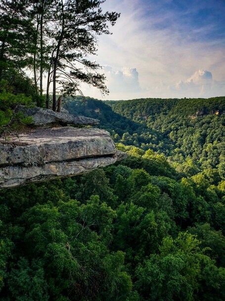 value: "Beautiful trail, only 2 miles long, out and back, lots of photo opportunities, with a waterfall and and an amazing overlook."
