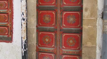 One of the prettiest doors I saw on this trip was in the medina.  Someone's home I suspect.

https://davenotravels.blog
