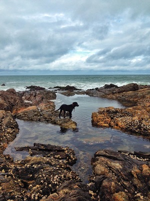 Gracelands beach lodge , Ramsgate