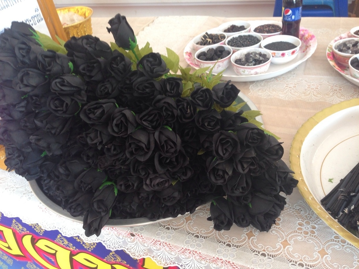 Black roses never seen these before 
