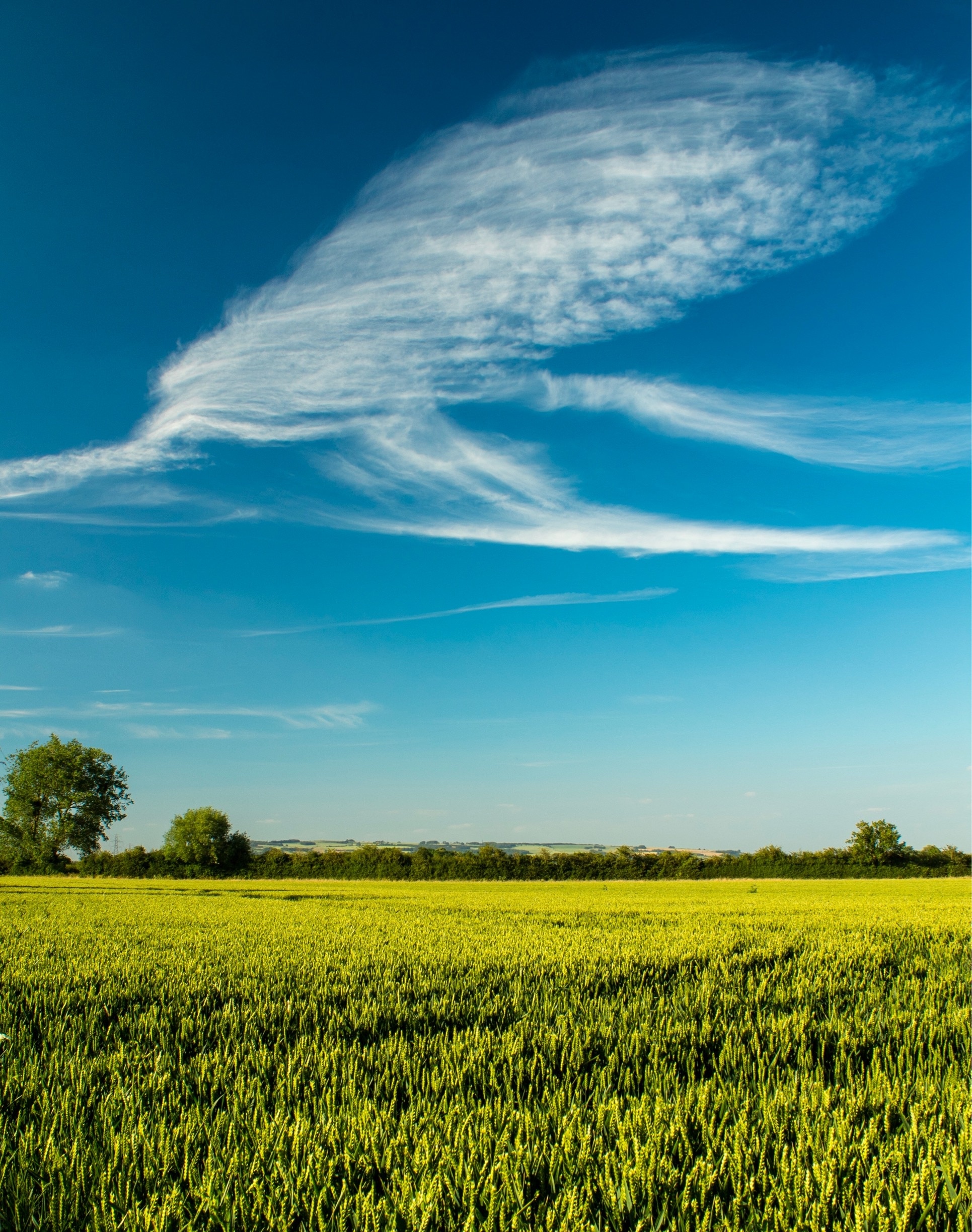 Foto von Matt Packer