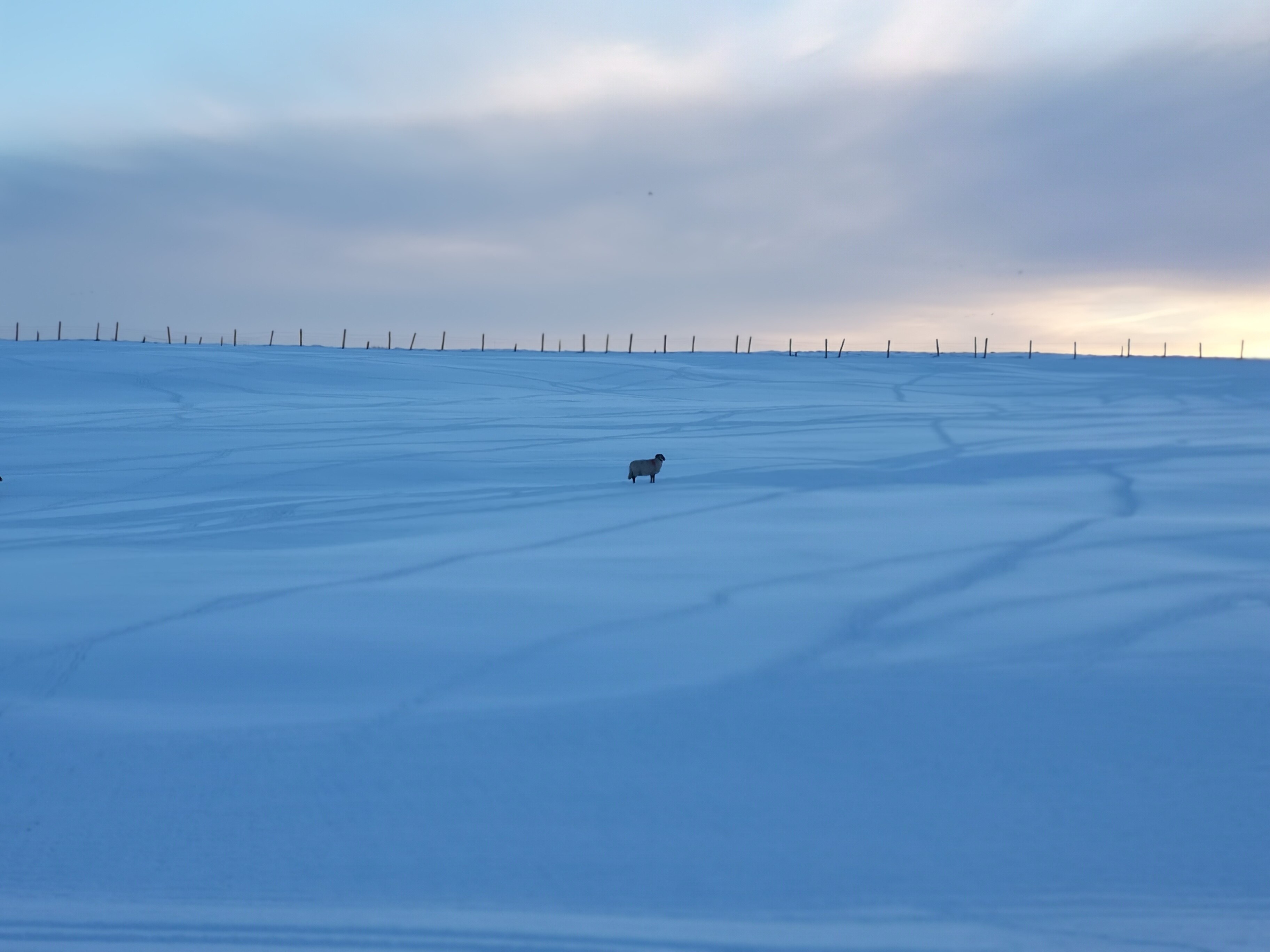 Foto tomada por ‎Bernard L'Estrange