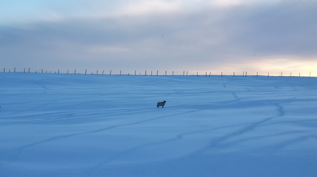 Foto tomada por Bernard L'Estrange