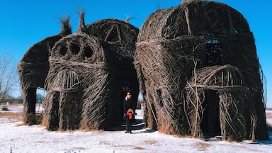 Public sculpture called "Lean On Me" is these 4 giant huts created with willow branches. Beautiful and amazing. About 1.5 hours from Minneapolis. Worth a visit before they are due for their scheduled removal. #snow