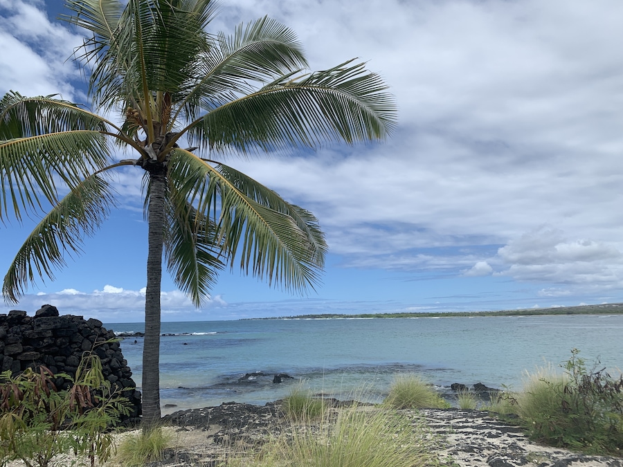 Enjoy the beautiful beach at Hawaii
