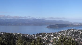 #TroveOn A scenic climb to the top of Mt Kaukau & rewarded with amazing views all around. It is situated in Khandallah, a suburb of Wellington, NZ.