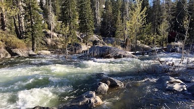 High up in the Sierras, the South Yuba River is raging with snow melt. This water runs all the way to the foothills through granite boulders and canyons. It is a sight to see it so full after many drought years. This section is close to the Hampshire Rocks Campground off of I-80. #Hiking #SpringFun #Camping #NationalForests