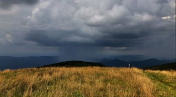 Rainy day in the Appalachian Mountains.