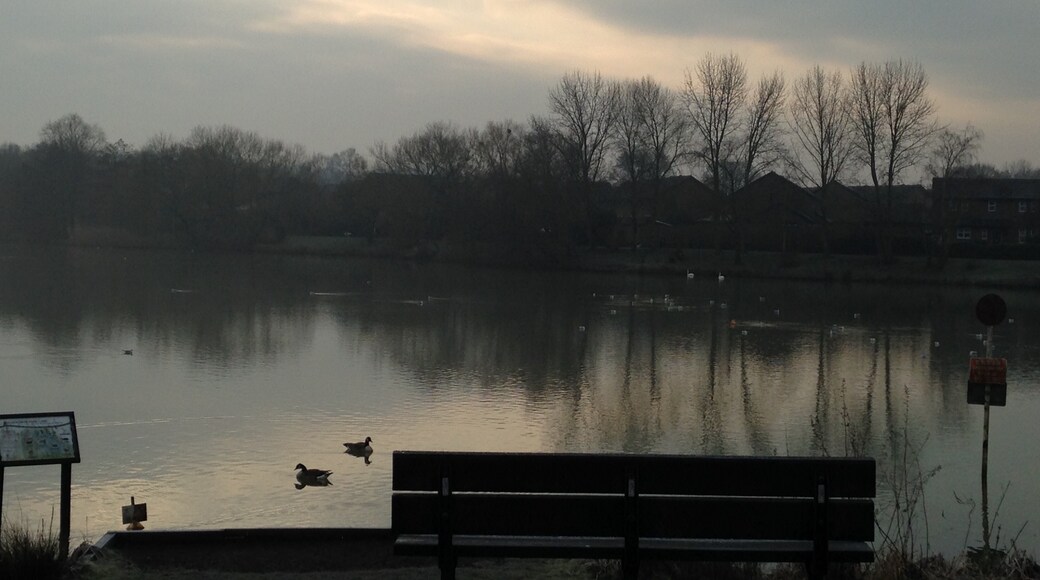 Photo de Veronica Oliveira