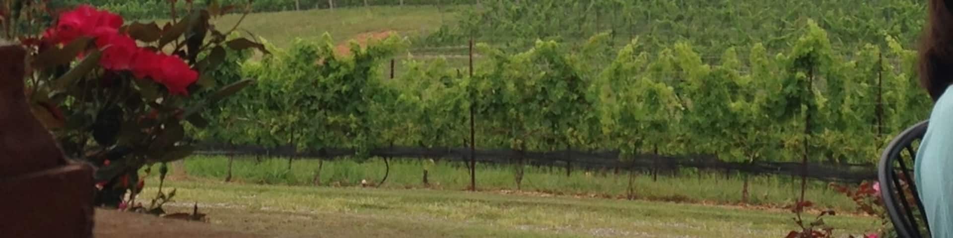 The view from the back patio at Round Peaks Winery.