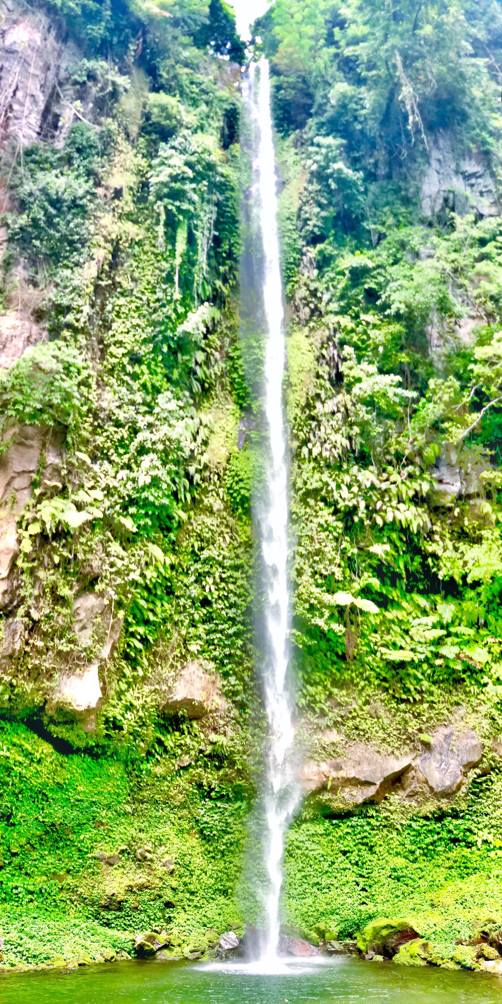 Greener than green. A falls where the heights makes you dizzy because of its near sky rocket height. The great Katibawasan Falls of Camiguin Island. A one of a kind falls that you need to experience.