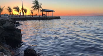 Kings Kamp has been our go to RV park in Key Largo for over 3 winters in a row. No frills or luxuries, only by the water as every RV place in the Keys is increasing in price, and so is Kings Kamp, but still ok relative to the new ones! #rvpark #floridakeys #sunset #waterfront #rvlife #fulltimervers