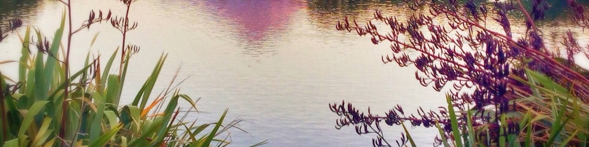Burgess Park, Taranaki, Nouvelle-Zélande