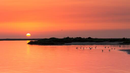 Photo by Daniel Boavida