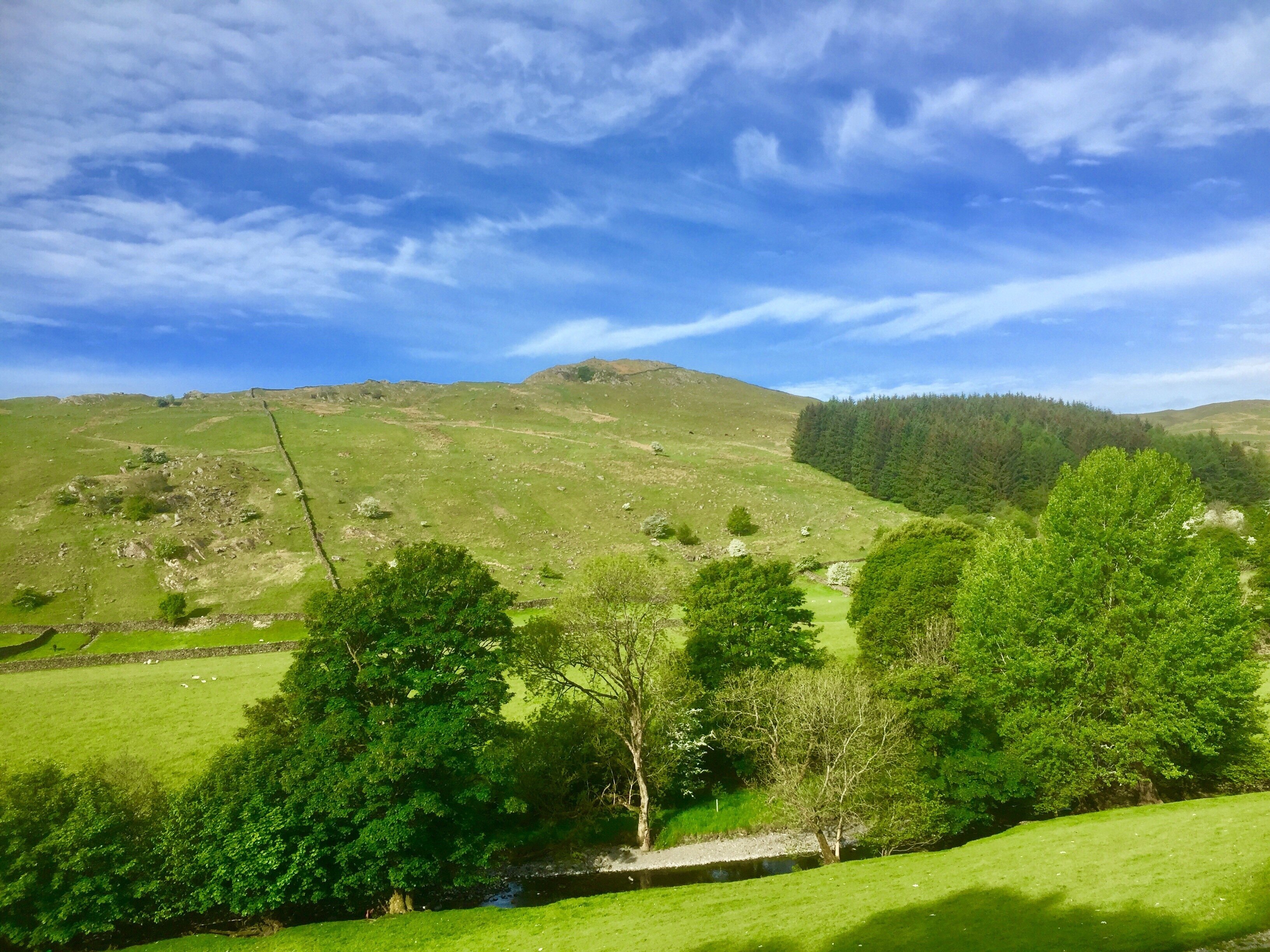 Foto tomada por Kathy Appleby