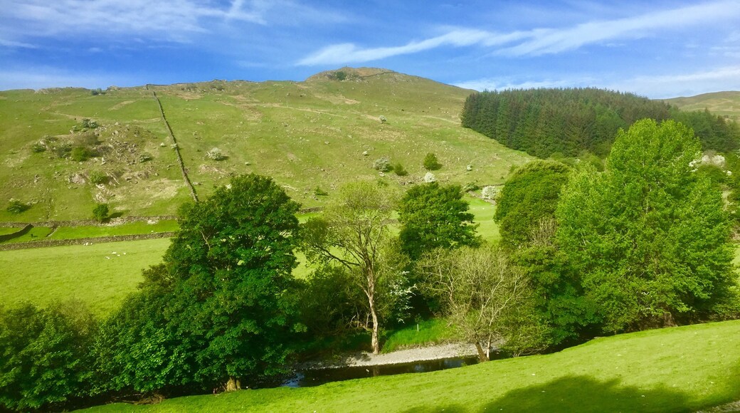 Foto tomada por Kathy Appleby