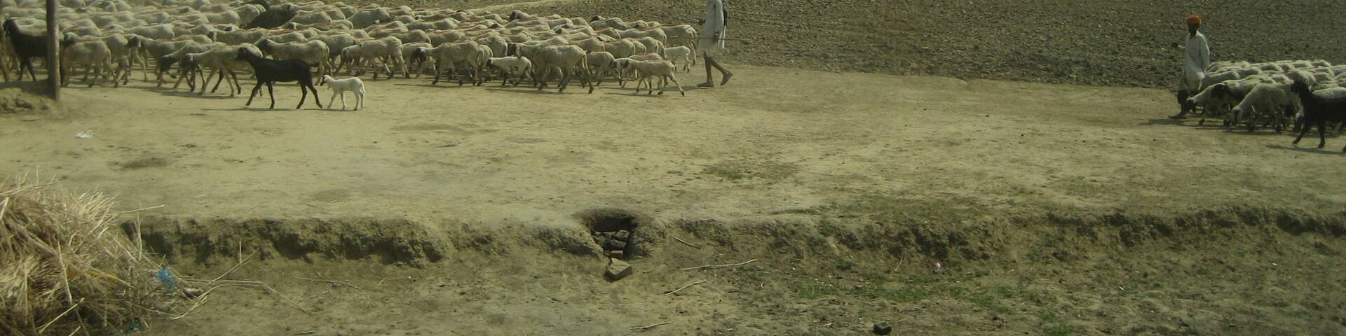 Life is often still dictated by hard work and manual labour.
