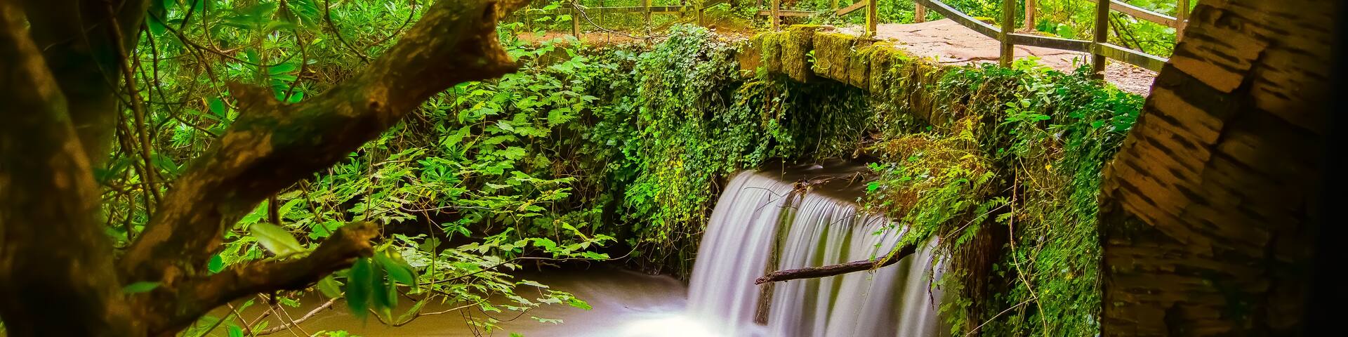 Lymm Dam, Lymm, England, United Kingdom